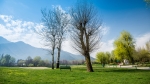 Royal Springs Golf Course, Srinagar